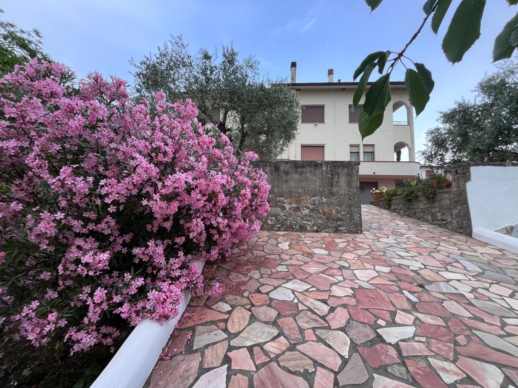 Апартаменты Casa Di Katia Коллесальветти Экстерьер фото